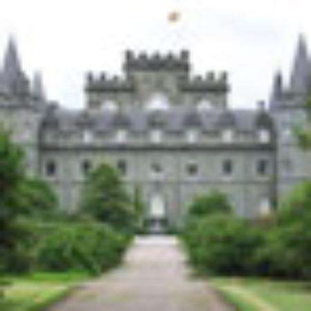 Deli Fusion Cafe & Juice Bar